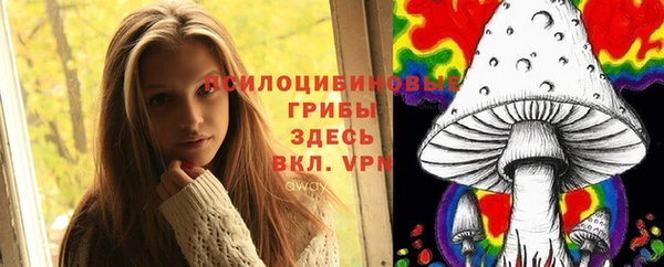 соль курить ск Новозыбков